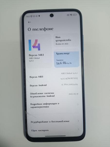 Купить Xiaomi Redmi 10 2022 4/64GB (22011119UY) Duos в Иркутск за 4300 руб.