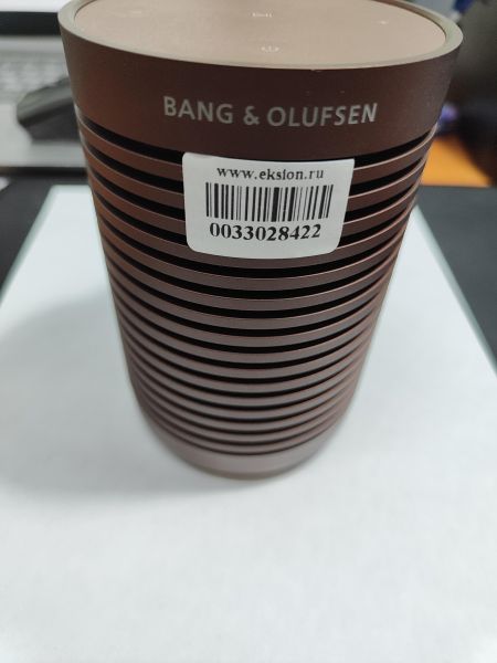 портативная колонка Bang+Olufsen Beosound Explore в Иркутск