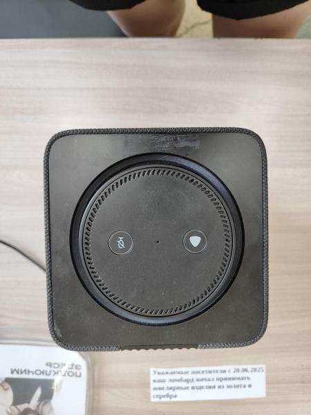 Купить Яндекс Станция Макс с Zigbee (YNDX-00053) с СЗУ в Иркутск за 19000 руб.
