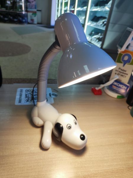 Купить Camelion KD-387 в Иркутск за 600 руб.