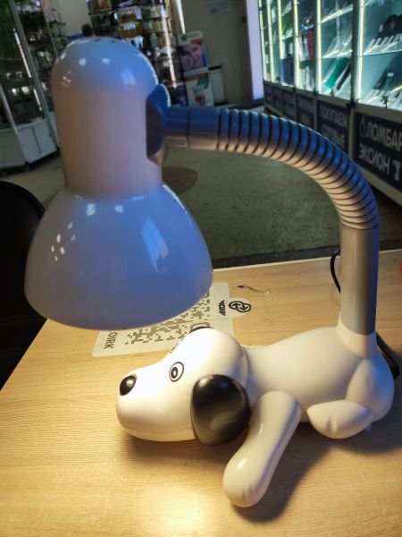 Купить Camelion KD-387 в Иркутск за 600 руб.