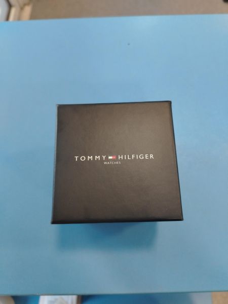 Купить TommyHilfiger 1791837 (TH.133.1.27.3014) в Иркутск за 3500 руб.