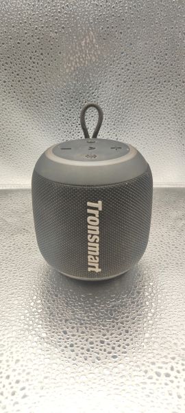 Купить Tronsmart T7 Mini в Иркутск за 1200 руб.