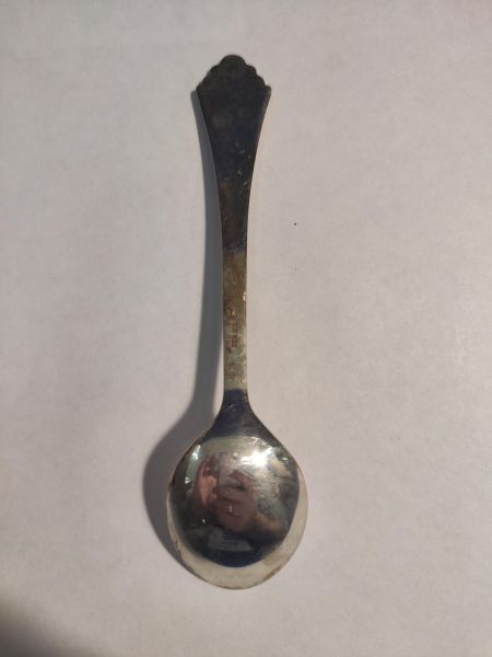 серебряная ложка Ложка серебро 925 29,63g, вес изделия 29.63g в Иркутск