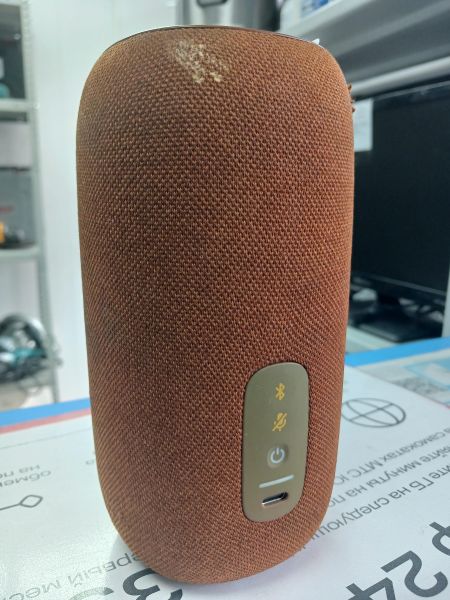 Купить JBL Link Portable с СЗУ в Иркутск за 4899 руб.