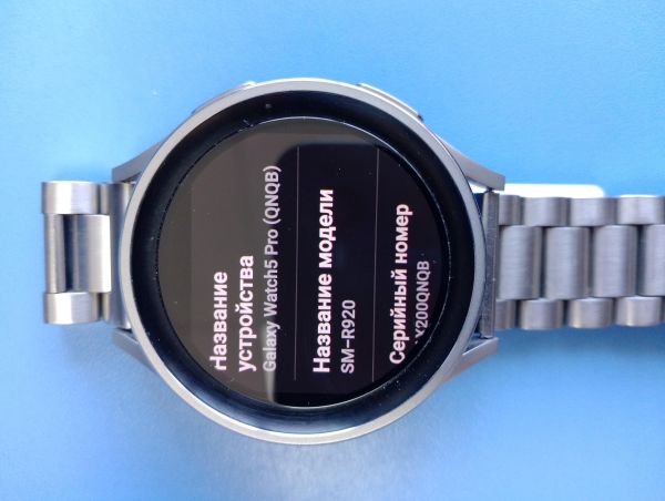 Купить Samsung Galaxy Watch 5 Pro (SM-R920) с СЗУ в Иркутск за 7750 руб.