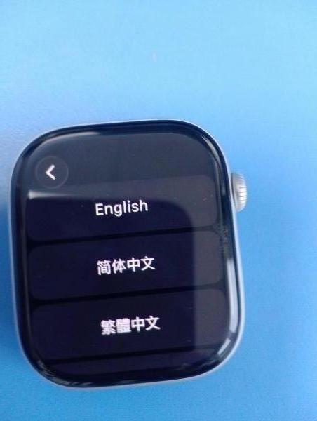 Купить Apple Watch Series 10 46mm (A2999) с СЗУ в Иркутск за 19300 руб.