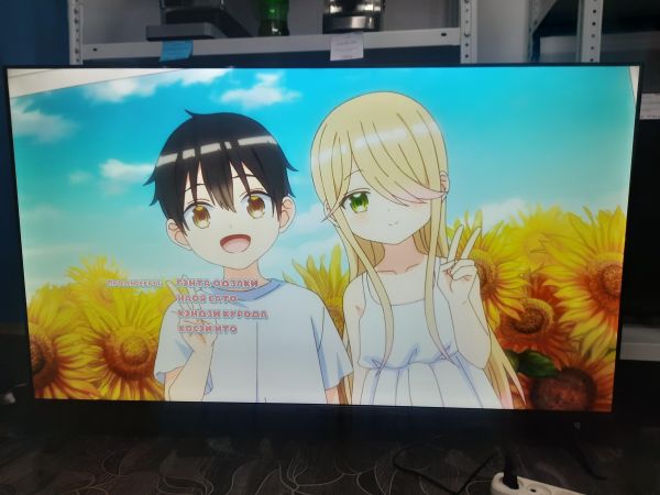 Купить Straus TV55 Smart в Саянск за 18100 руб.