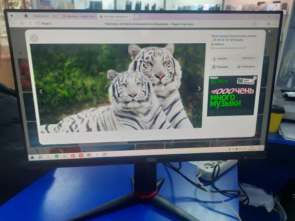 Купить AOC 24G2U5/BK в Саянск за 4000 руб.