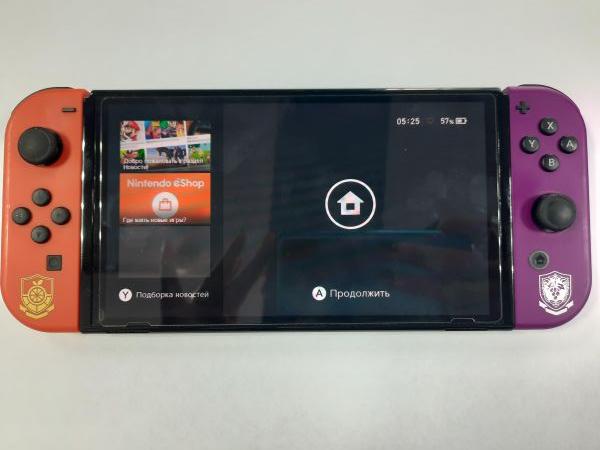 игровая приставка Nintendo Switch OLED 64GB (HEG-001) в Зима