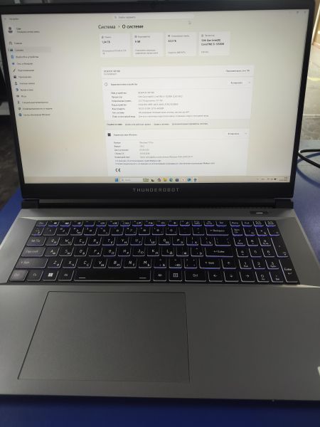 ноутбук Thunderobot 911 Plus G3 X (RAM 32GB, SSD 512GB + SSD 960GB) в Зима