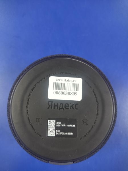умная колонка Яндекс Станция Мини Плюс (YNDX-00020) с СЗУ в Саянск