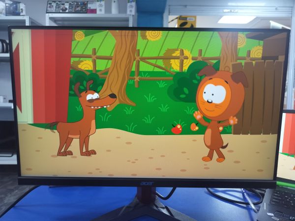 монитор Acer Nitro KG242YPbmiipx в Саянск