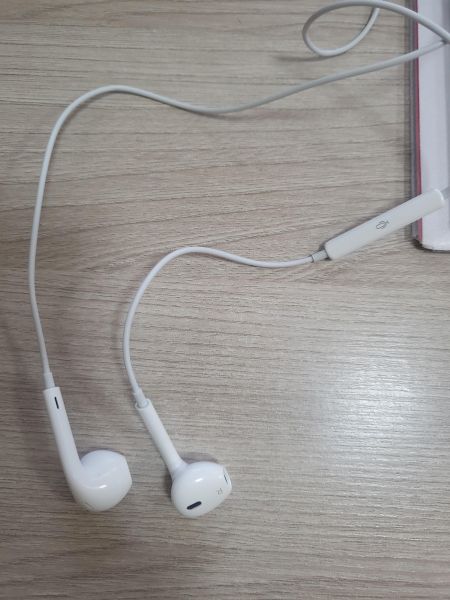 Купить Apple EarPods (Lightning) (A1748) в Шелехов за 399 руб.