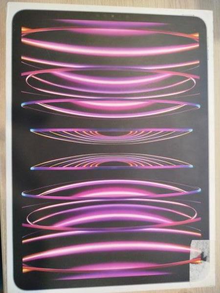 Купить Apple iPad Pro 6 2022 128GB (A2759) (без SIM) в Шелехов за 62100 руб.