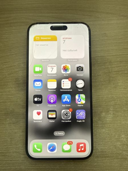 сотовый телефон Apple iPhone 15 Pro Max 256GB в Шелехов