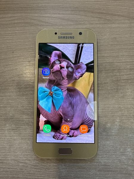 сотовый телефон Samsung Galaxy A5 2017 3/32GB (A520F) Duos в Шелехов