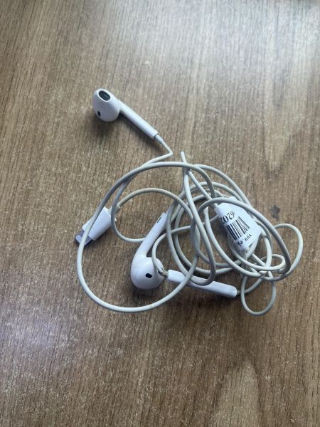 Купить Apple EarPods (Lightning) (A1748) в Шелехов за 599 руб.