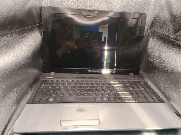 Купить PackardBell Q5WT6 в Томск за 4400 руб.