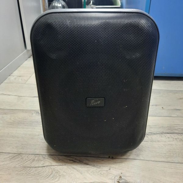 портативная колонка Fiero Emotion 100 (FR800) в Томск