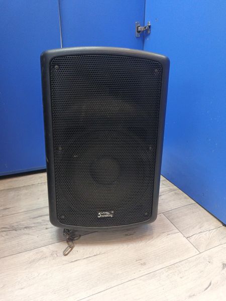 акустическая система (колонки) SoundKing FP0210A в Томск
