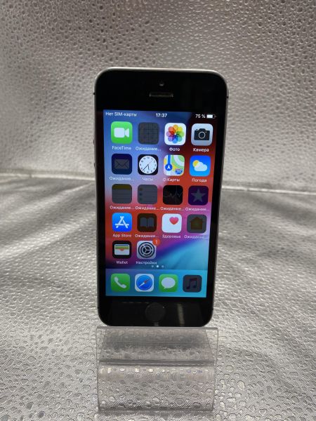 Купить Apple iPhone 5S 16GB в Томск за 1849 руб.