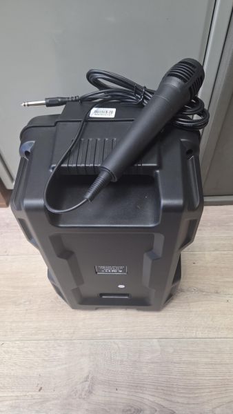портативная колонка Китайская WLC-810 в Томск