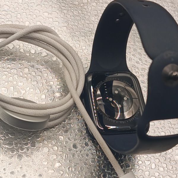 умные часы и браслеты Apple Watch Series 9 45mm (A2980) с СЗУ в Томск