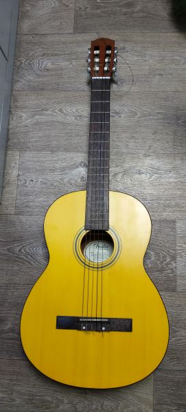 Купить Fender ESC-110 NS в Томск за 4999 руб.