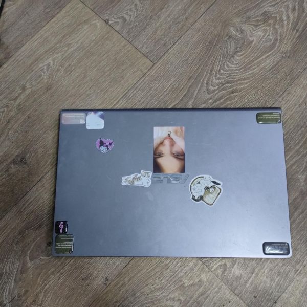 Купить ASUS M509DJ-BR073T в Томск за 14650 руб.
