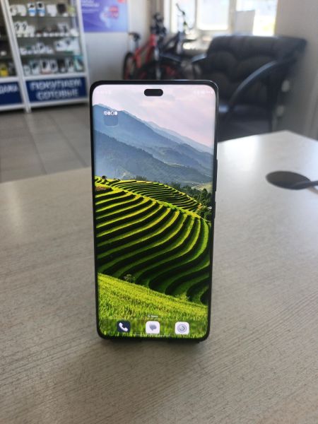 сотовый телефон Honor X9c 12/256GB (BRP-NX1) Duos в Тулун
