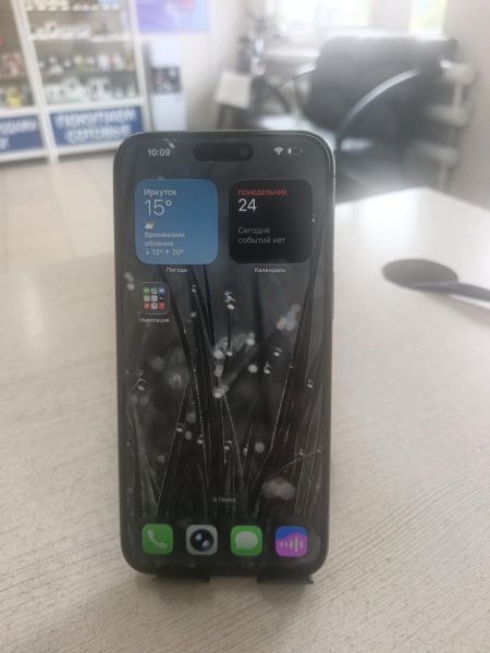 сотовый телефон Apple iPhone 15 Pro Max 256GB в Тулун