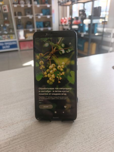 сотовый телефон Xiaomi Redmi 7A 2/32GB (M1903C3EG) Duos в Тулун