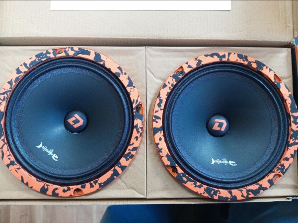 автомобильная акустика DL Audio Barracuda 165 V.2 в Усолье-Сибирское