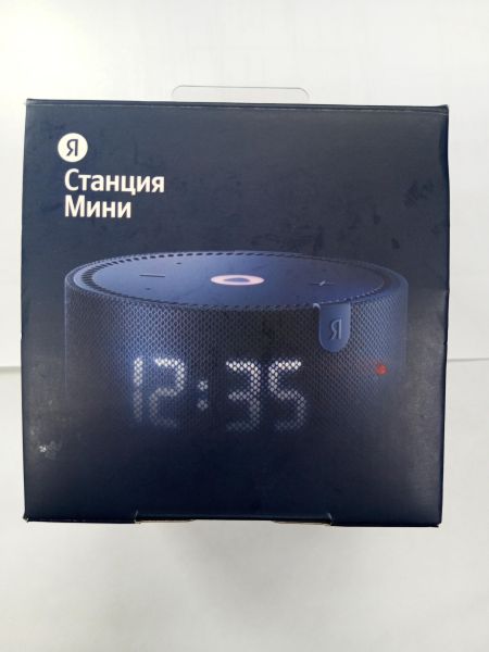 умная колонка Яндекс Станция Мини Плюс (YNDX-00020) с СЗУ в УсольеСибирское