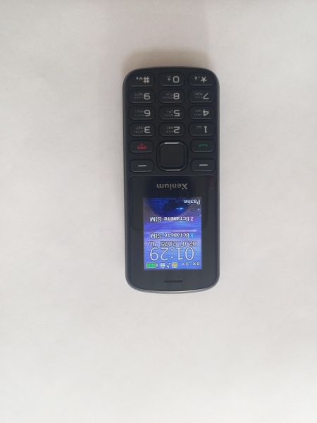 Купить Xenium X170 Duos в Улан-Удэ за 800 руб.