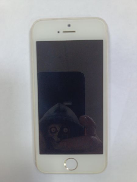 Купить Apple iPhone 5 16GB в Зима за 2149 руб.