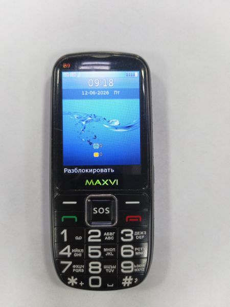 сотовый телефон MAXVI B9 Duos в Зима