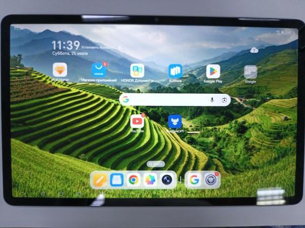 планшет Honor Pad X9a 256GB (ELN2-W29) (без SIM) в Зима