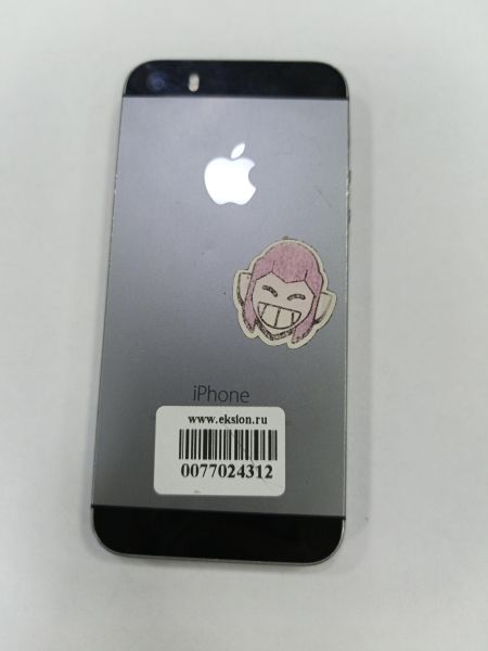 сотовый телефон Apple iPhone 5S 16GB в Зима