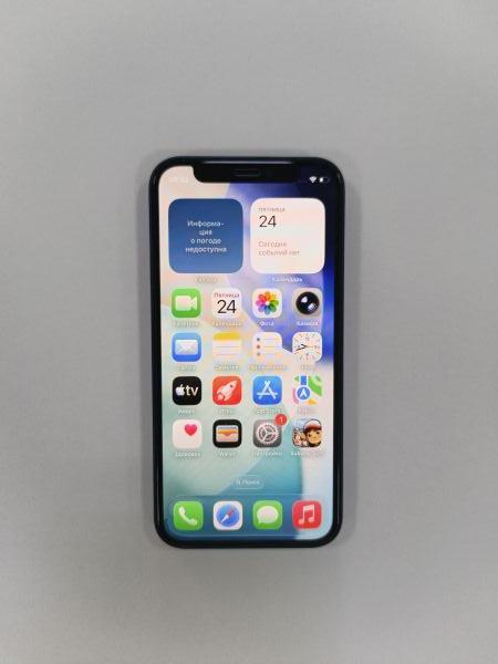 сотовый телефон Apple iPhone 12 mini 256GB в Зима