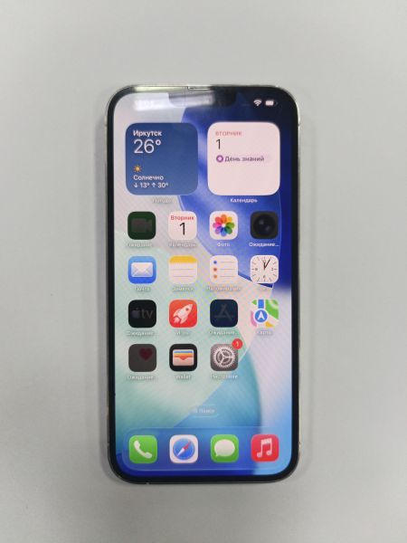 сотовый телефон Apple iPhone 13 Pro Max 128GB в Зима