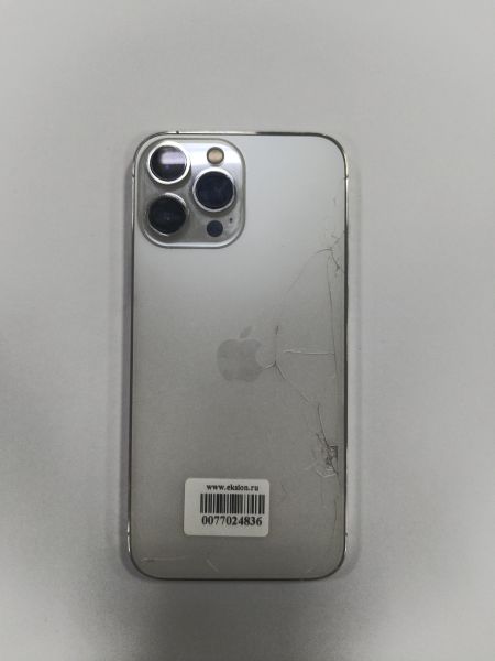 сотовый телефон Apple iPhone 13 Pro Max 128GB в Зима