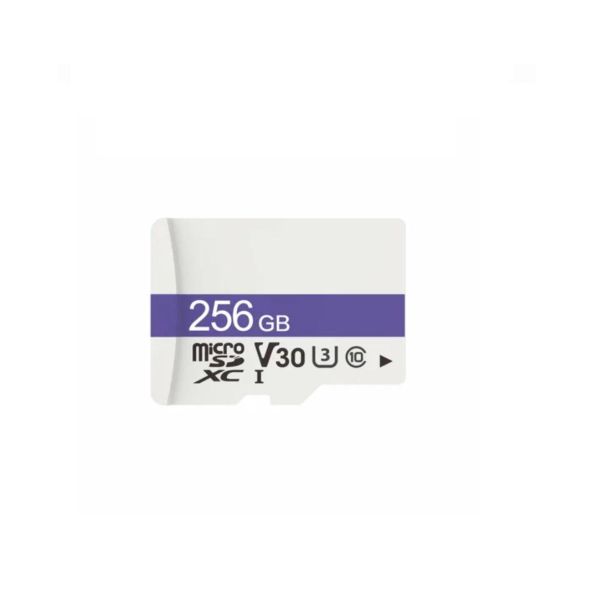 microSD 256GB 10Class (V10, V30, U1, U3) в Зима
