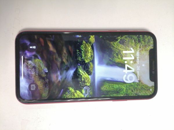 Купить Apple iPhone 11 64GB в Новосибирск за 14600 руб.
