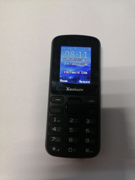 Купить Xenium X170 Duos в Новосибирск за 600 руб.