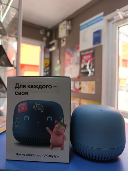 умная колонка VK Капсула Нео (VKSP11BK/BL/GR/YL/OR) с СЗУ в Иркутск