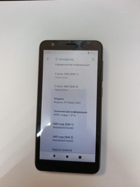 сотовый телефон ZTE Blade L8 32GB (L8RU) Duos в Иркутск