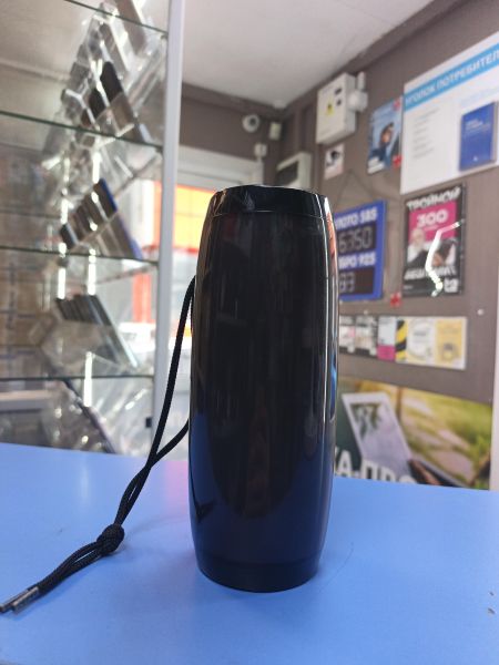 портативная колонка T+G TG-157 в Иркутск