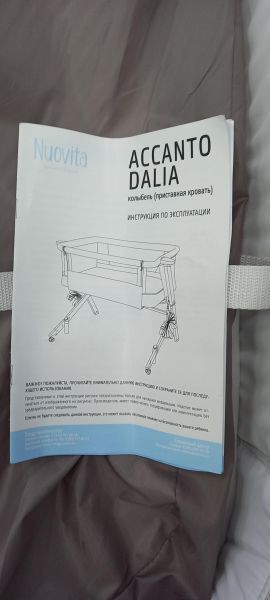 Купить Nuovita Accanto Dalia в Иркутск за 2199 руб.